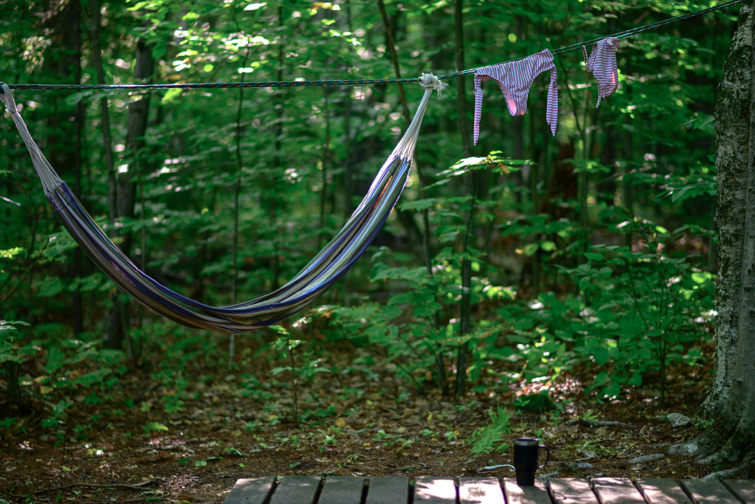 a hammock hanging from a rope in the woods